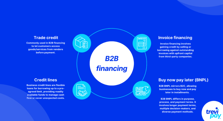 Infographic listing different types of B2B financing